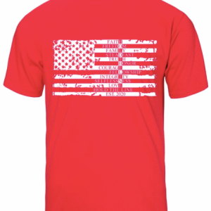 Hold The Line Flag Values T-Shirt